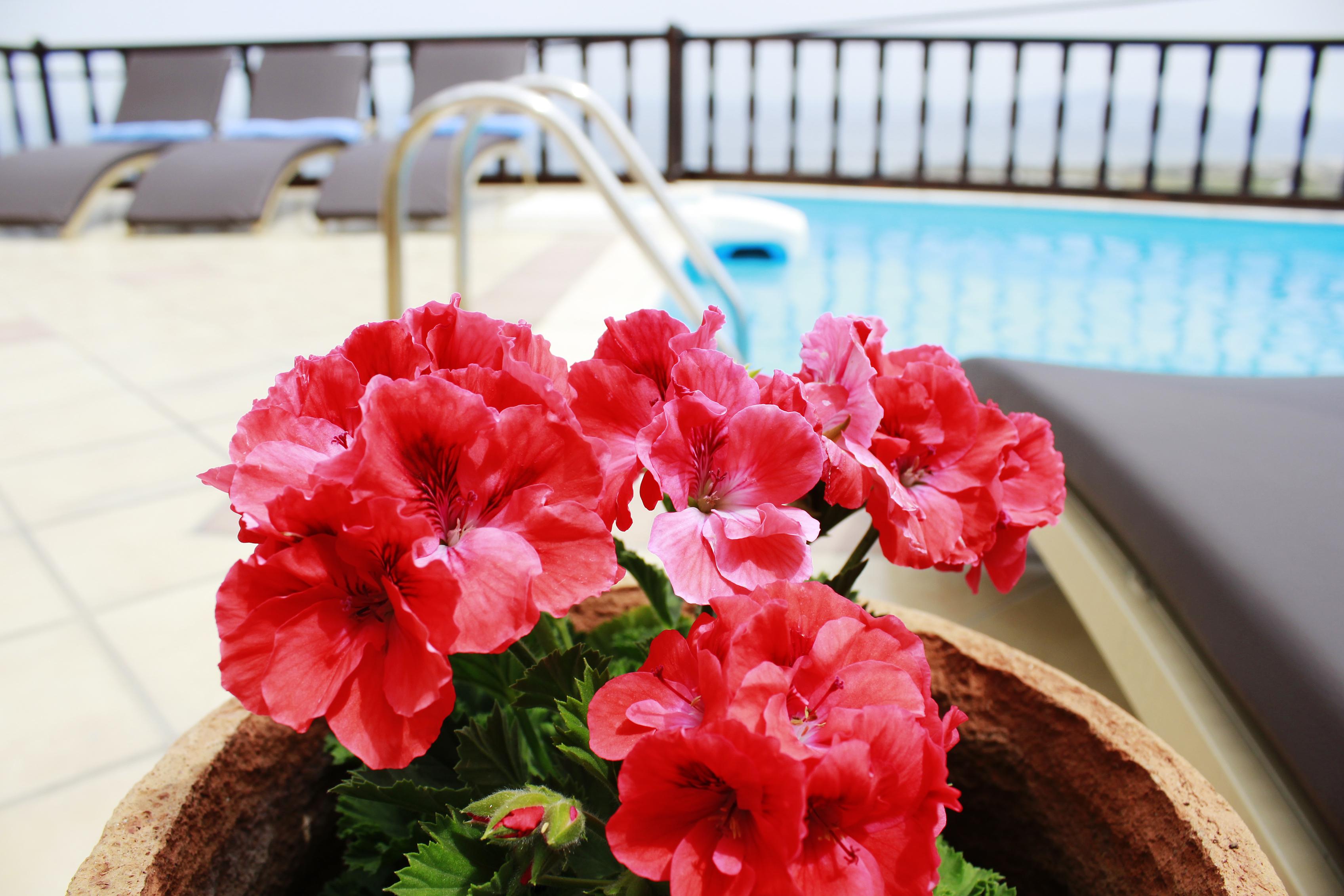 Amerisa Suites & Villa Фира Екстериор снимка
